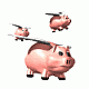 pig's Avatar