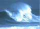 naturalsurfer's Avatar